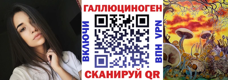 Псилоцибиновые грибы Psilocybine cubensis  Купить закладки  Курлово 